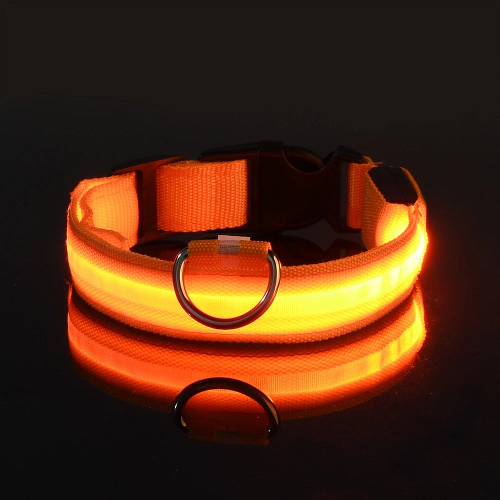 Nylon LED Night Safety Flashing Glow-in-the-Dark Dog Leash Luminous Fluorescent Pet Dog Collar