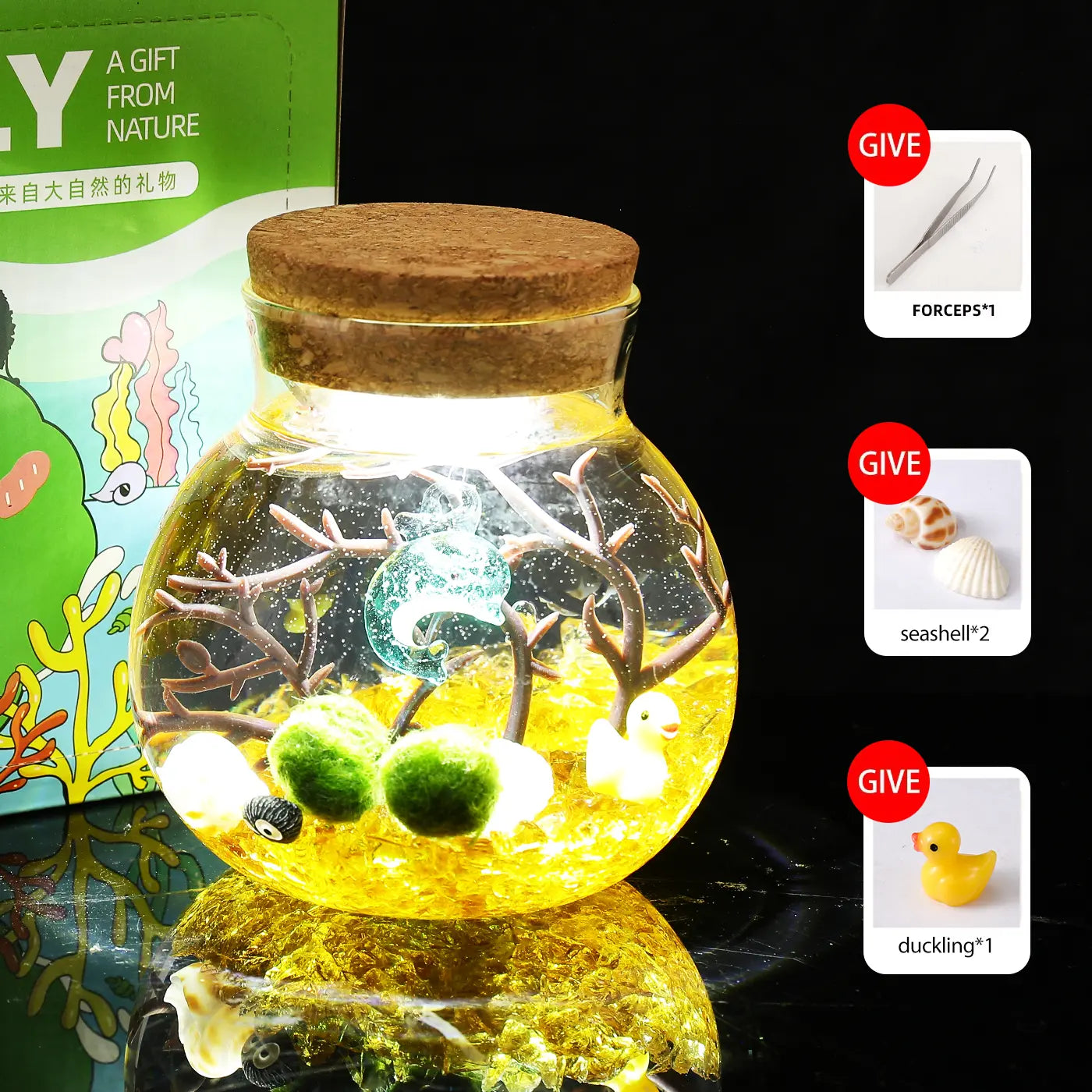 Megrez - Serene Big Dipper Bottle Ecosystem, Adorable Marimo Moss Ball Micro-Landscape, Self-Sustaining Crystal Water Garden & Calming Pet Plant Habitat (Includes 2 Live Marimo Pets)