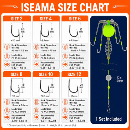 Bait Cage Feeder Rig with Explosion Style Floating Hooks, Anti-Snag Off-Bottom Accessories with Stable Lead Weight for Carp & Catfish, Fishing Accessories, Carp Fishing Setup, round Weights, Fishing Equipment Accessories