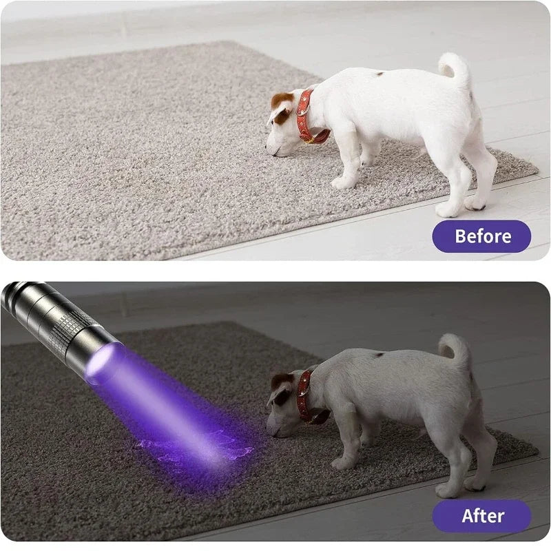 UV Blacklight Flashlight 395nm – Pet Stain & Scorpion Detector
