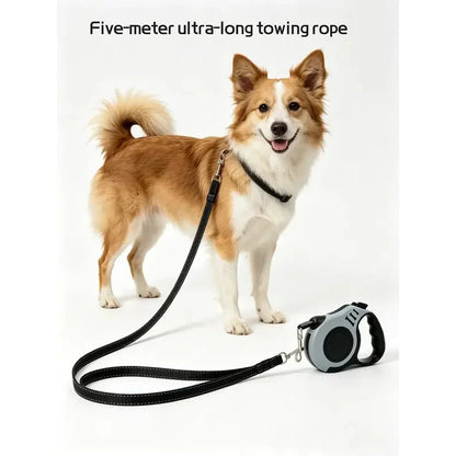 Retractable Pet Leash for Dogs & Cats
