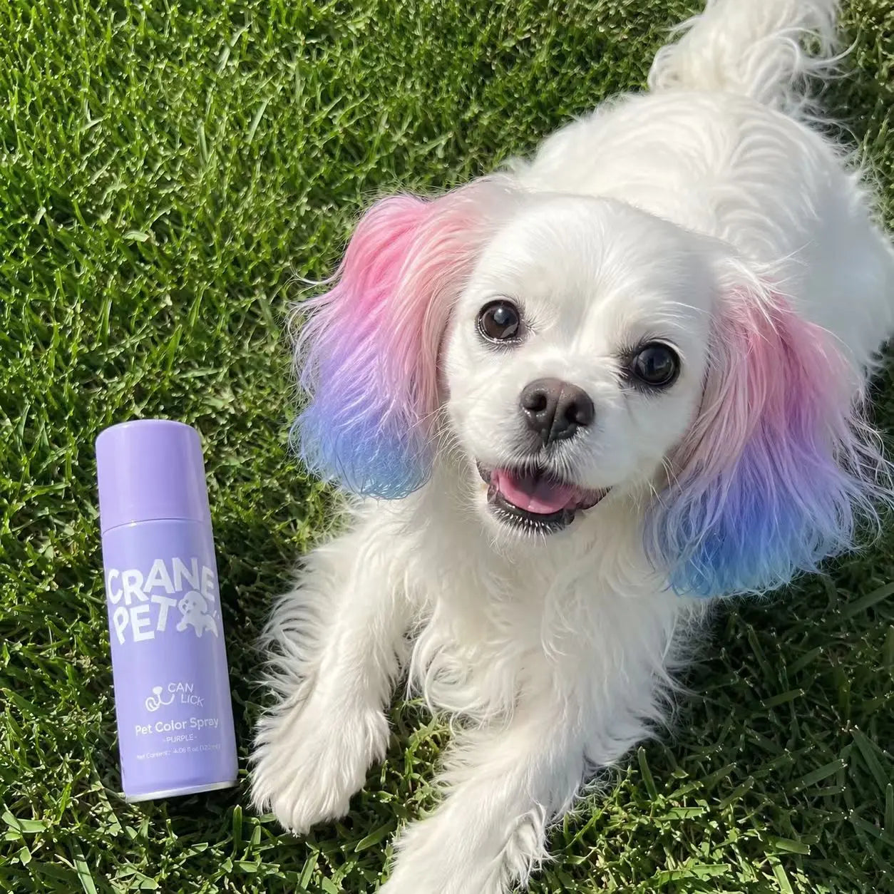 Crane Lunexis Pet Hair Color Spray Can - Dog & Cat Grooming Coating Agent, Safe, Non-Toxic, Easy Application, Easily Removed via Shampoo Wash-Off, Ideal for Festivals, Halloween