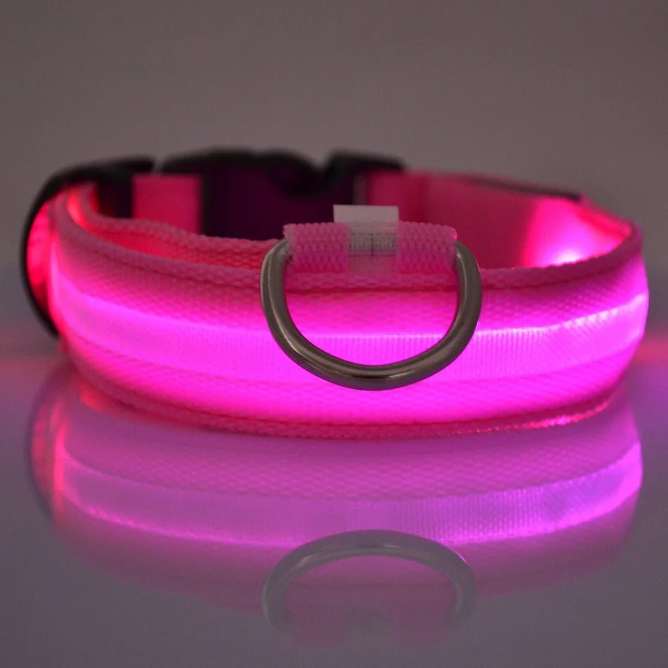 Nylon LED Night Safety Flashing Glow-in-the-Dark Dog Leash Luminous Fluorescent Pet Dog Collar