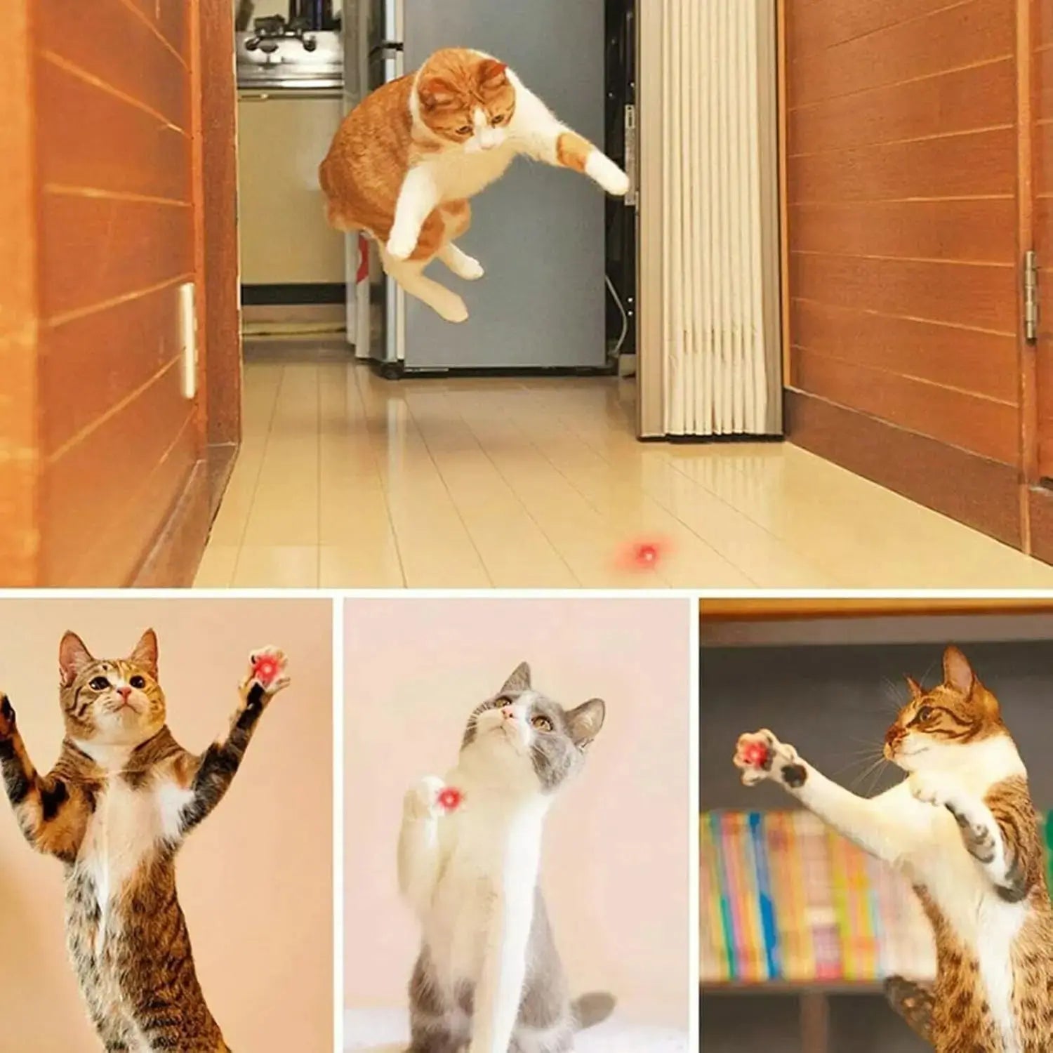 Rechargeable Green Laser Pointer/ Line Light Flashlight Long Distance Range for TV/LED/LCD Screens Flashlights Presentation, Laser Pointer Toy，Office / Outdoors / Cat/Astronomic / Construction Pet Supplies Cat Toy Petlovers