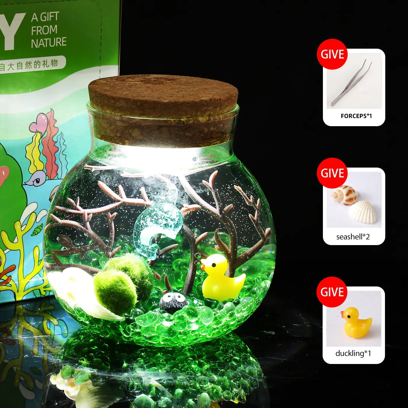 Megrez - Serene Big Dipper Bottle Ecosystem, Adorable Marimo Moss Ball Micro-Landscape, Self-Sustaining Crystal Water Garden & Calming Pet Plant Habitat (Includes 2 Live Marimo Pets)