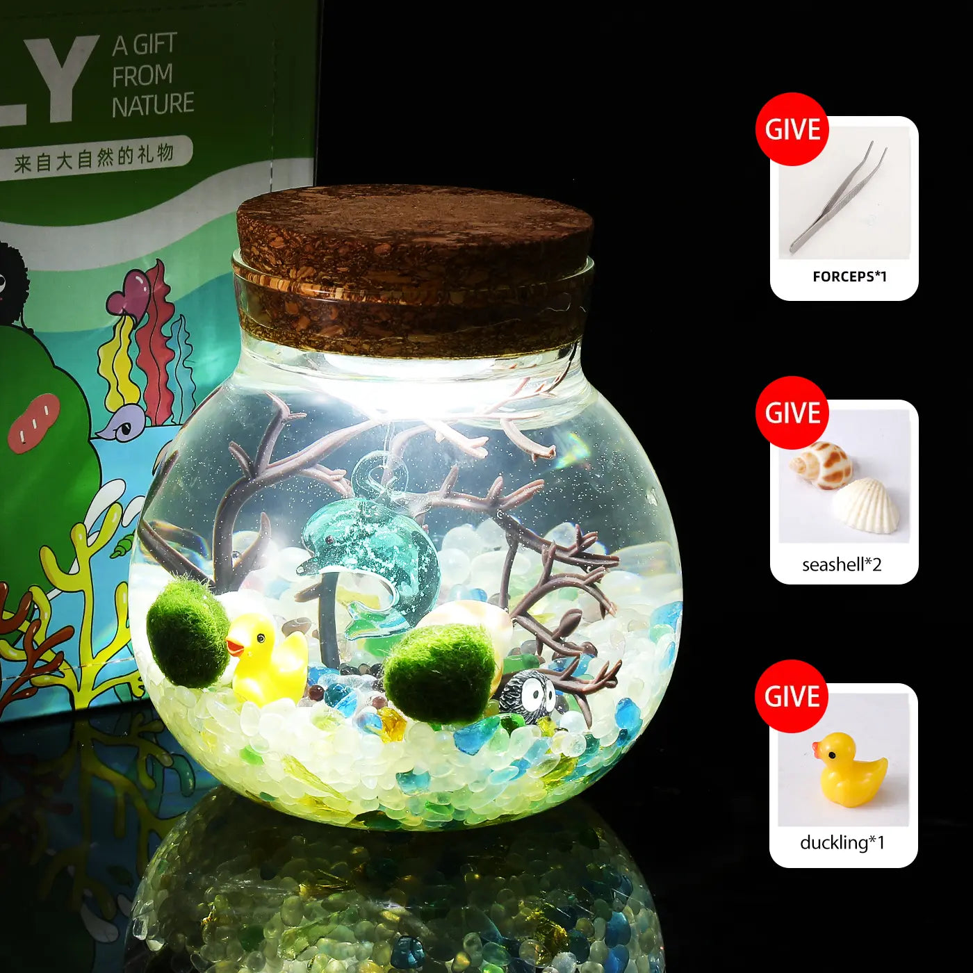 Megrez - Serene Big Dipper Bottle Ecosystem, Adorable Marimo Moss Ball Micro-Landscape, Self-Sustaining Crystal Water Garden & Calming Pet Plant Habitat (Includes 2 Live Marimo Pets)