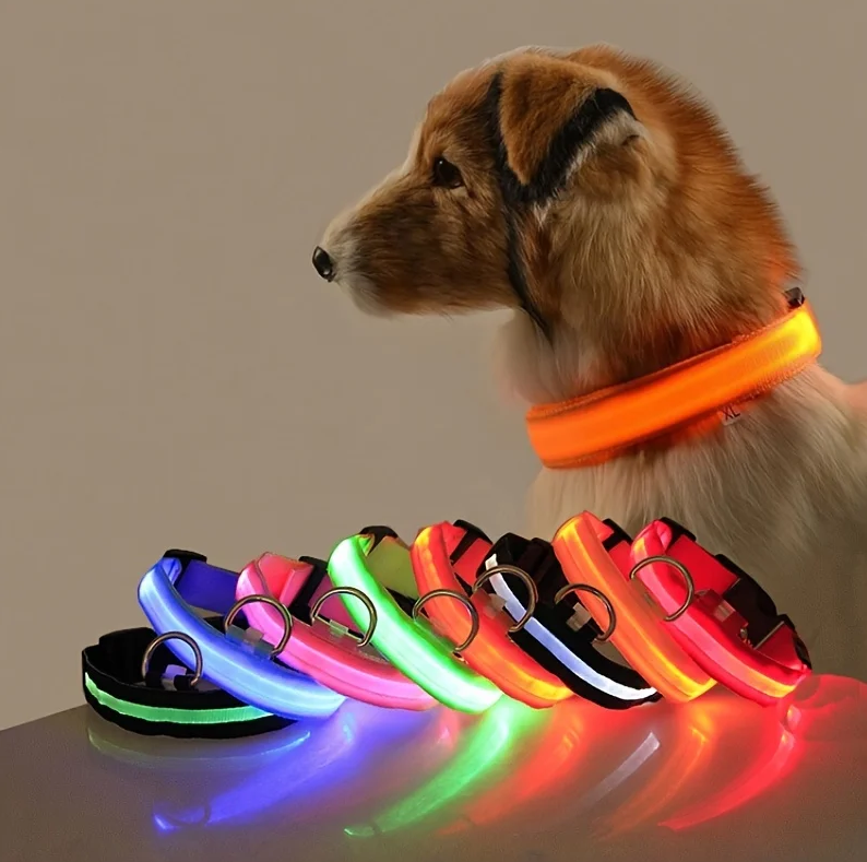 Nylon LED Night Safety Flashing Glow-in-the-Dark Dog Leash Luminous Fluorescent Pet Dog Collar