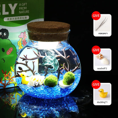 Megrez - Serene Big Dipper Bottle Ecosystem, Adorable Marimo Moss Ball Micro-Landscape, Self-Sustaining Crystal Water Garden & Calming Pet Plant Habitat (Includes 2 Live Marimo Pets)