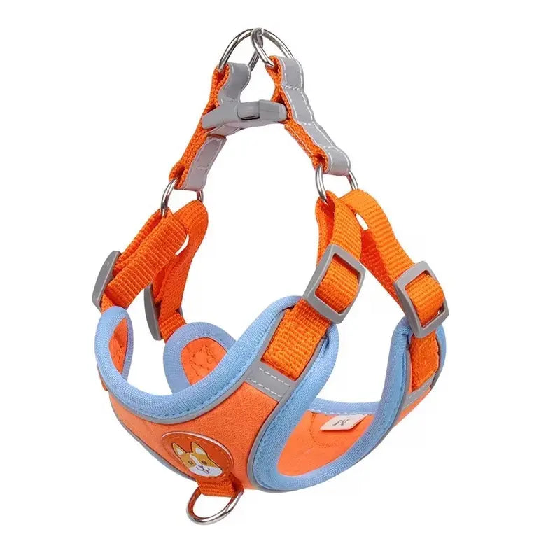 2 Pack Adjustable Pet Harness & Leash Set, Soft Suede Vest, Durable & Reflective, No-Tangle Leash for Easy Walking, Ideal for Daily Walks & Night Outdoor Use