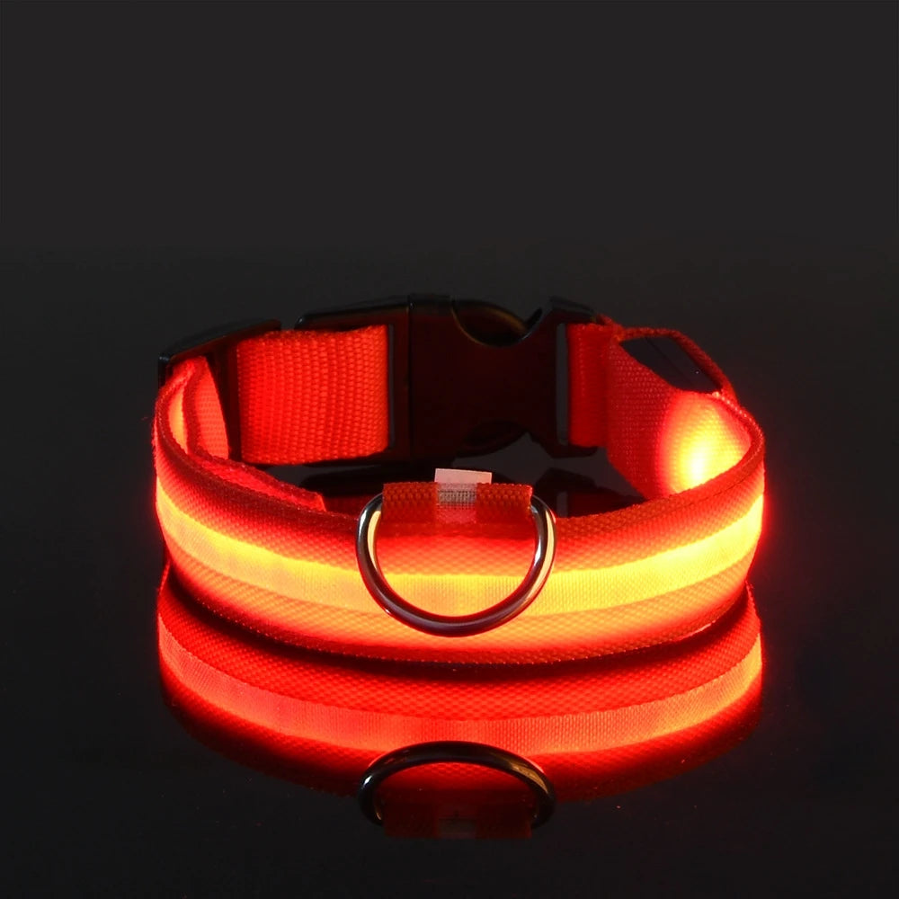 Nylon LED Night Safety Flashing Glow-in-the-Dark Dog Leash Luminous Fluorescent Pet Dog Collar