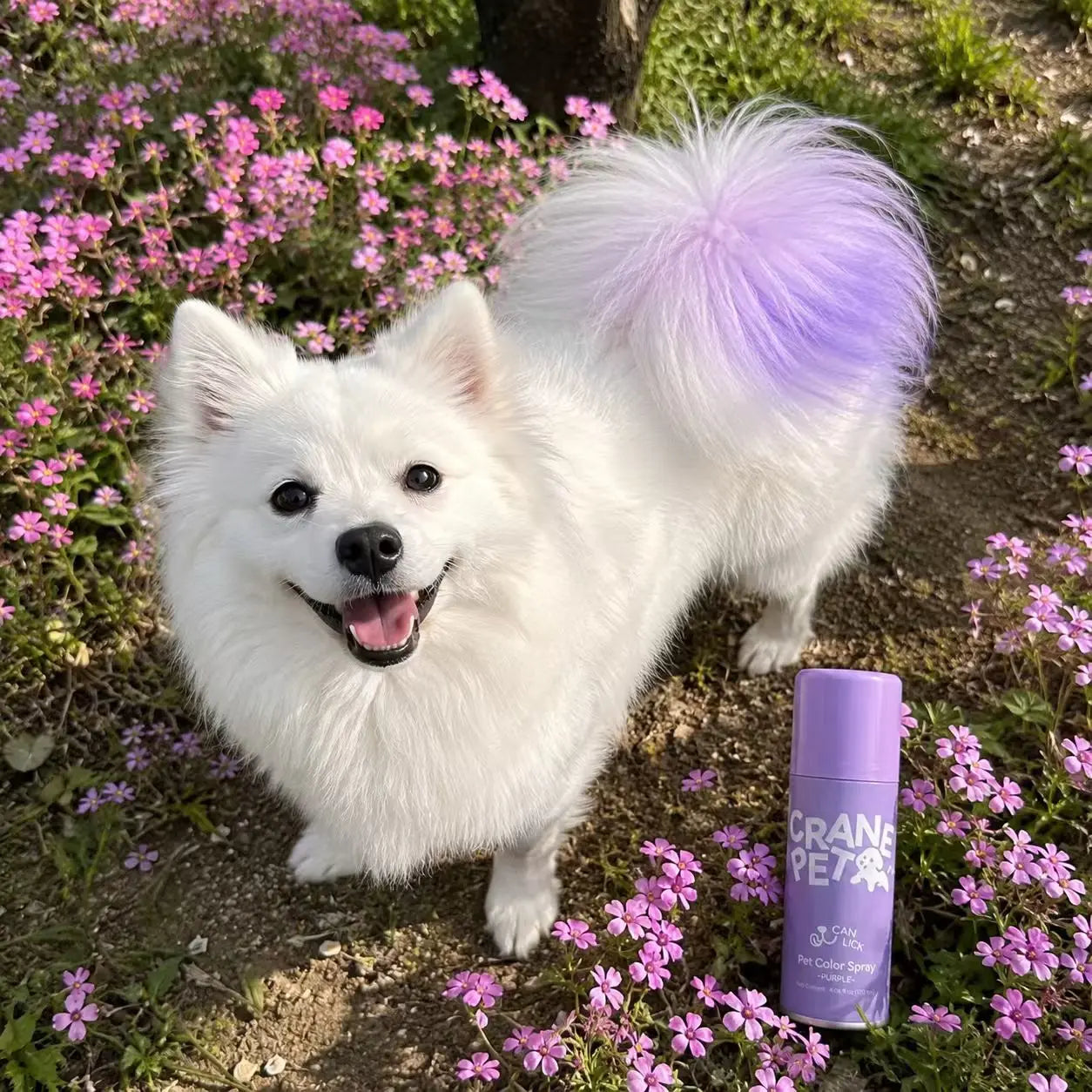 Crane Lunexis Pet Hair Color Spray Can - Dog & Cat Grooming Coating Agent, Safe, Non-Toxic, Easy Application, Easily Removed via Shampoo Wash-Off, Ideal for Festivals, Halloween