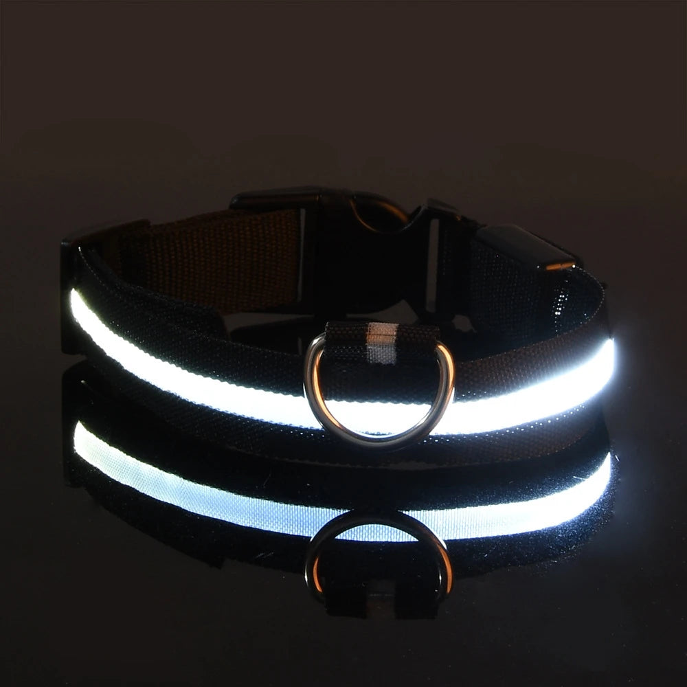 Nylon LED Night Safety Flashing Glow-in-the-Dark Dog Leash Luminous Fluorescent Pet Dog Collar