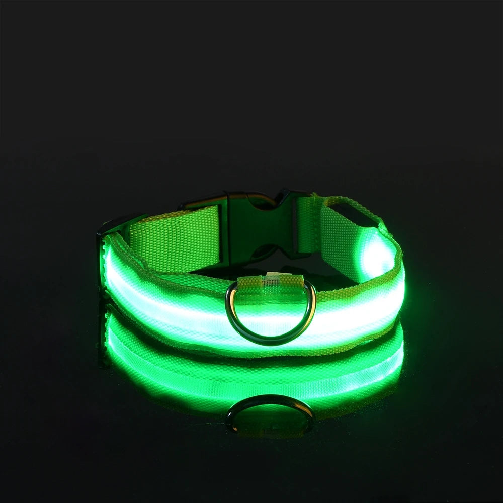 Nylon LED Night Safety Flashing Glow-in-the-Dark Dog Leash Luminous Fluorescent Pet Dog Collar