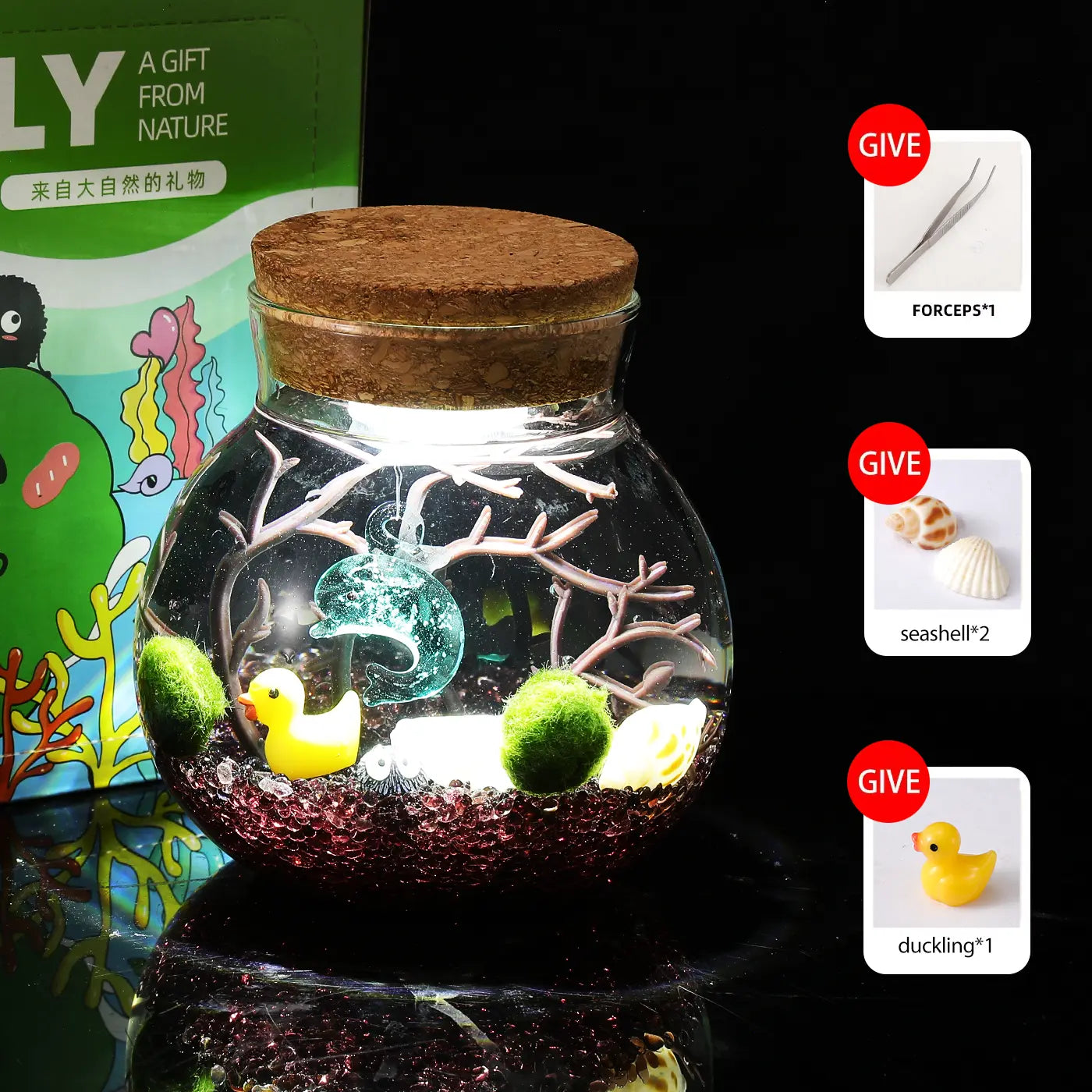 Megrez - Serene Big Dipper Bottle Ecosystem, Adorable Marimo Moss Ball Micro-Landscape, Self-Sustaining Crystal Water Garden & Calming Pet Plant Habitat (Includes 2 Live Marimo Pets)