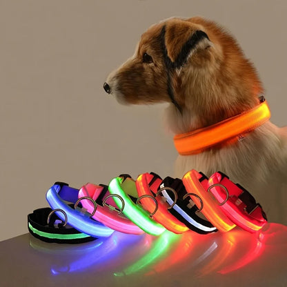 Nylon LED Night Safety Flashing Glow-in-the-Dark Dog Leash Luminous Fluorescent Pet Dog Collar