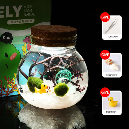 Megrez - Serene Big Dipper Bottle Ecosystem, Adorable Marimo Moss Ball Micro-Landscape, Self-Sustaining Crystal Water Garden & Calming Pet Plant Habitat (Includes 2 Live Marimo Pets)