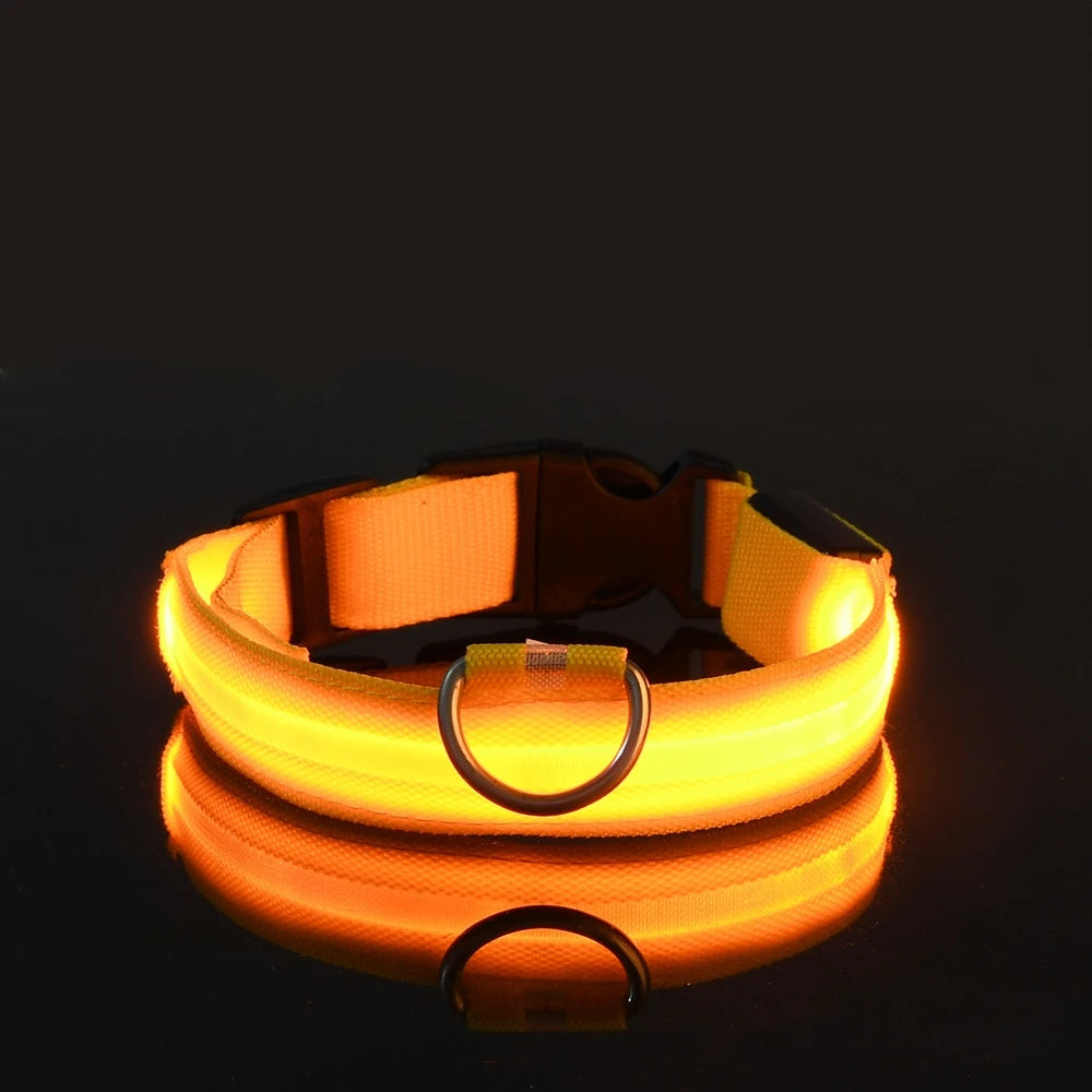 Nylon LED Night Safety Flashing Glow-in-the-Dark Dog Leash Luminous Fluorescent Pet Dog Collar